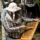 Imker stehen um einen Bienenstock herum. Einer hält eine Bienenwabe voll mit Bienen in der Hand und zeigt den anderen Männern etwas.