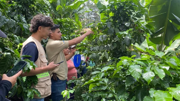 Gruppe von Menschen in einer Kaffeepflanzung. Zwei junge M&auml;nner halten je ein Smartphone in H&auml;nden.