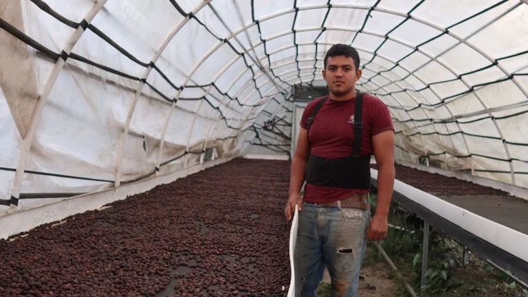 Junger lateinamerikanischer Mann steht in einem Trocknungstunnel f&uuml;r Kaffee