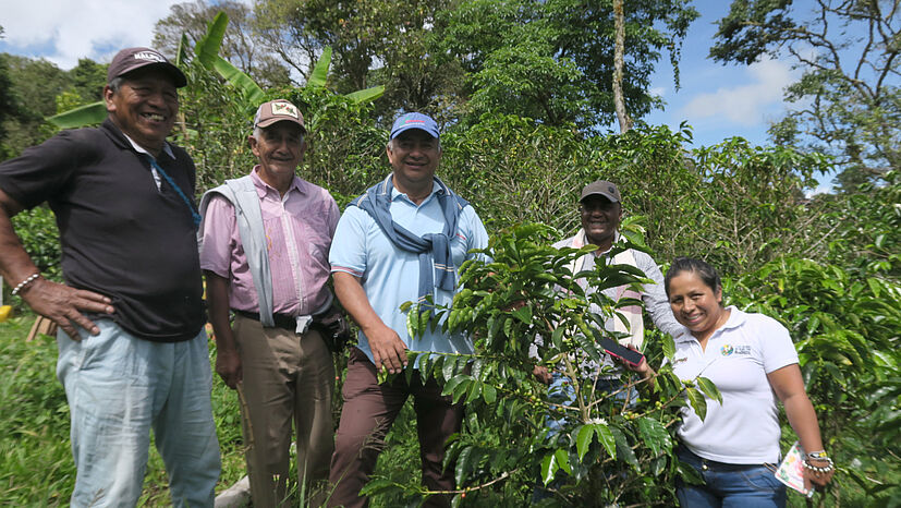 Wir beziehen Bio-Kaffee von unserem Partner COSURCA im Süden Kolumbiens. Mit hochwertigem Kaffee versucht der Kooperativen-Dachverband den Folgen der Klimakrise etwas entgegenzusetzen.