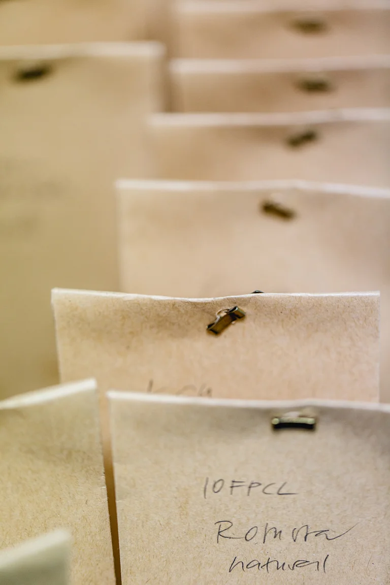 Reihe brauner Packpapier-P&auml;ckchen.