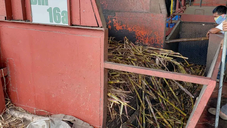 Große Maschine, der Zuckerrohr zugeführt wird