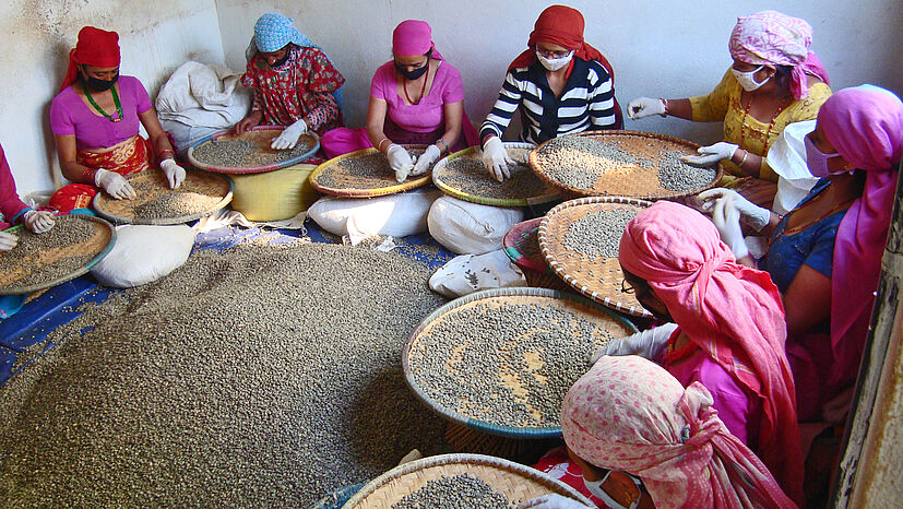 Bei der Kooperative CCU Lalitpur in Nepal sortieren Mitglieder die Kaffeebohnen von Hand.