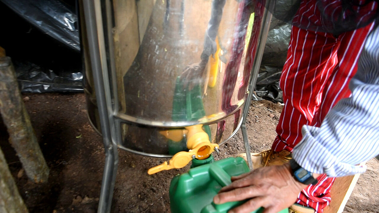 Nach dem Schleudern füllt Macario Gerónimo Martin den Honig für den Weitertransport in Kanister um. | Foto: GEPA – The Fair Trade Company / Nova TV Guatemala