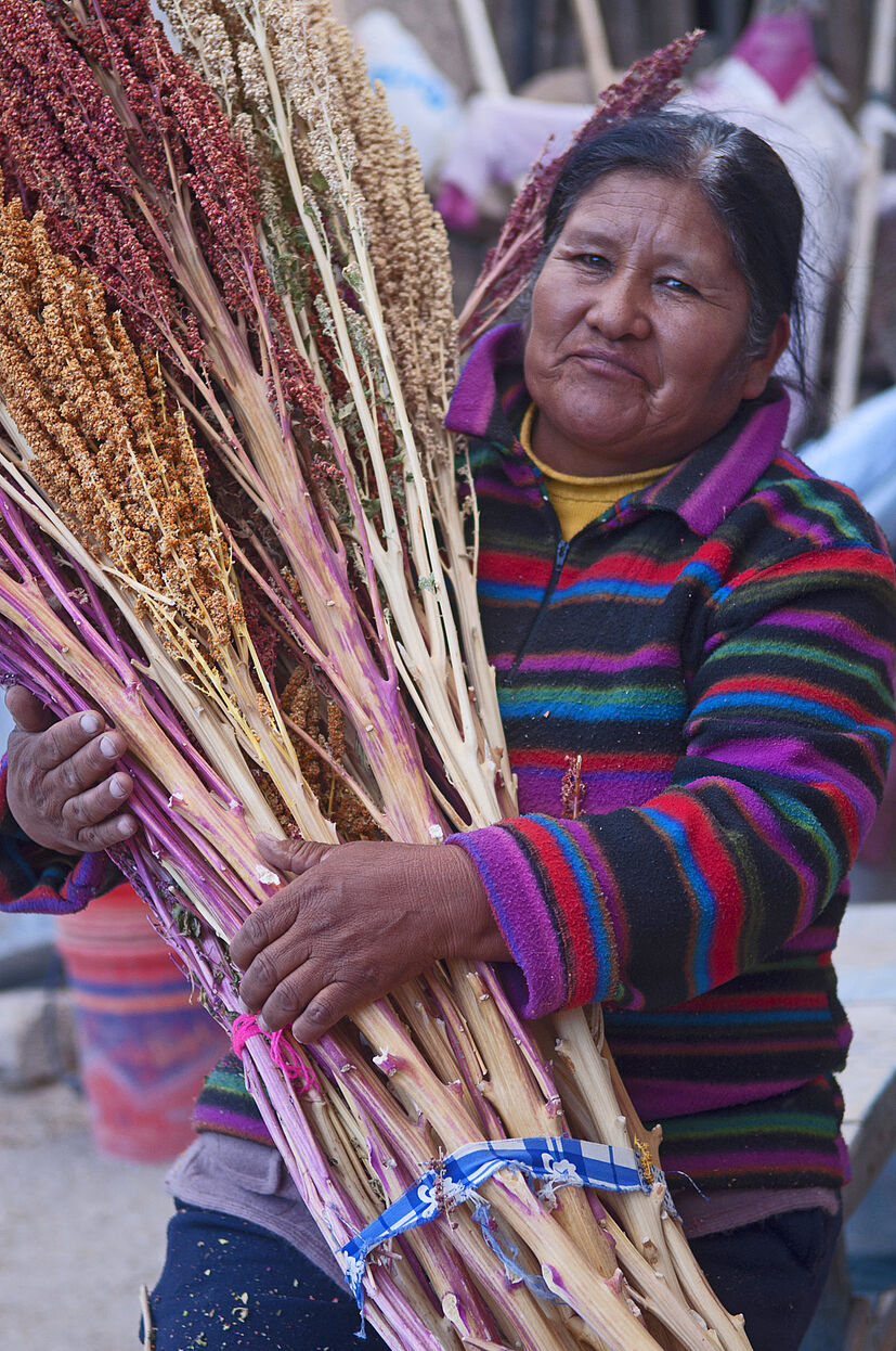 Doña Lydia, 55 Jahre alt, Quinuabäuerin bei ANAPQUI: „Manchmal kamen Händler mit Lastwagen voller Säcke mit Lebensmitteln. Für einen Sack Mehl oder Zucker verlangten sie zwei Säcke Quinua. Wir hatten keine Wahl, wir mussten unsere Quinua mehr oder weniger verschenken, denn es gab keinen Markt dafür. Plötzlich waren wir nicht mehr der Willkür der Händler ausgeliefert, sondern hatten mit der GEPA Käufer, die uns einen fairen Preis für unser Produkt bezahlt haben."
