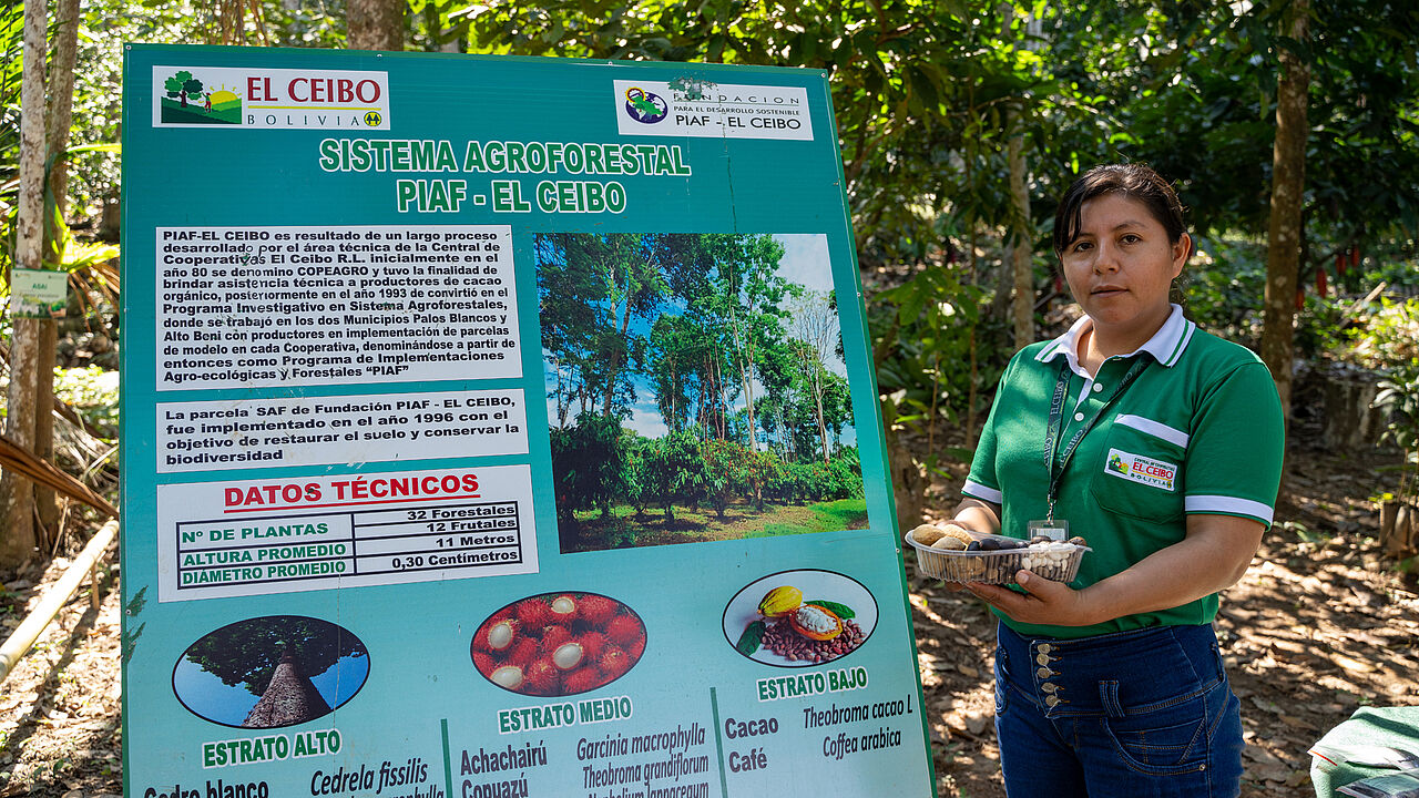 Bio-Anbau ist besser fürs Klima und hat viele Vorteile für die Menschen vor Ort. Sie bauen die Kakaobäume zusammen mit anderen Kulturen an. Schattenbäume schützen zum einen die Kakaopflanzen – zum anderen sind sie Nutzpflanzen für den Eigenbedarf oder dienen als zusätzliche Einkommensquelle. Zudem erhalten die Kooperativen eine Bio-Prämie und oft auch eine Umstellungsprämie.