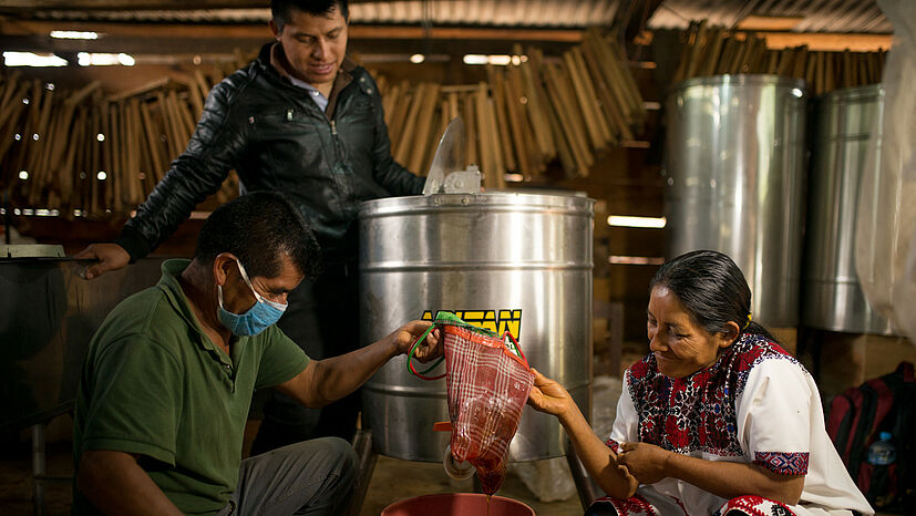 Gemeinsames Anpacken beim Schleudern des Honigs aus den Waben | Foto: GEPA – The Fair Trade Company / Rafael Solórzano, Mexiko