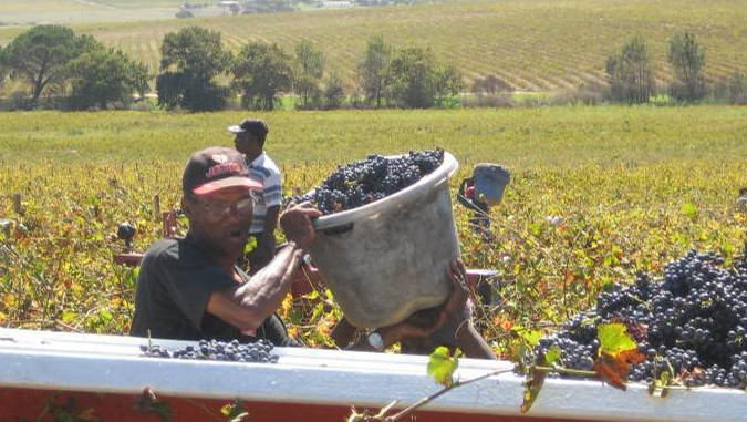 Fairer Wein